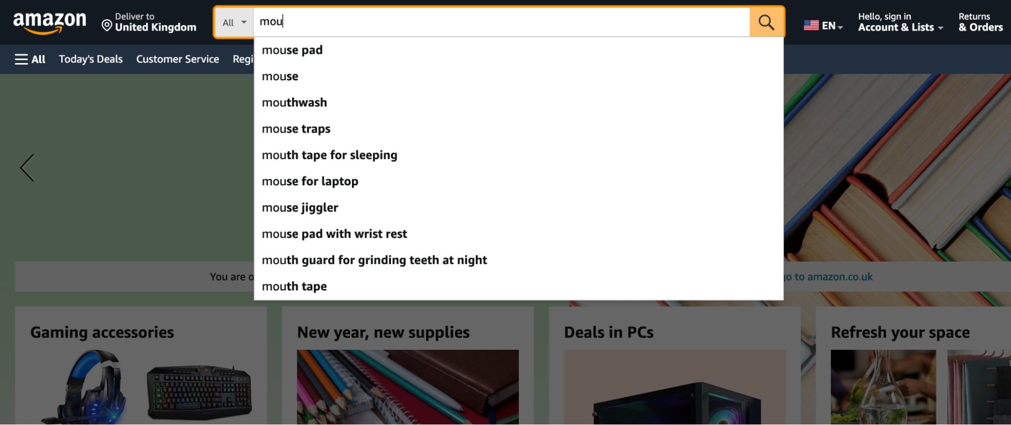 Implement Autocomplete and Suggestions